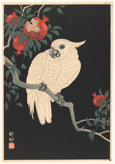 Papagaio Branco e Romã, 1927-1989 (xilogravura) de Ohara Koson
